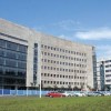 賀州輕質型墻板廠家_有品質的廣西復合墻板是由廣西世業昊建材提供