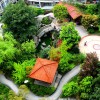 深圳園林綠化養護服務-哪兒有可靠的園林綠化養護